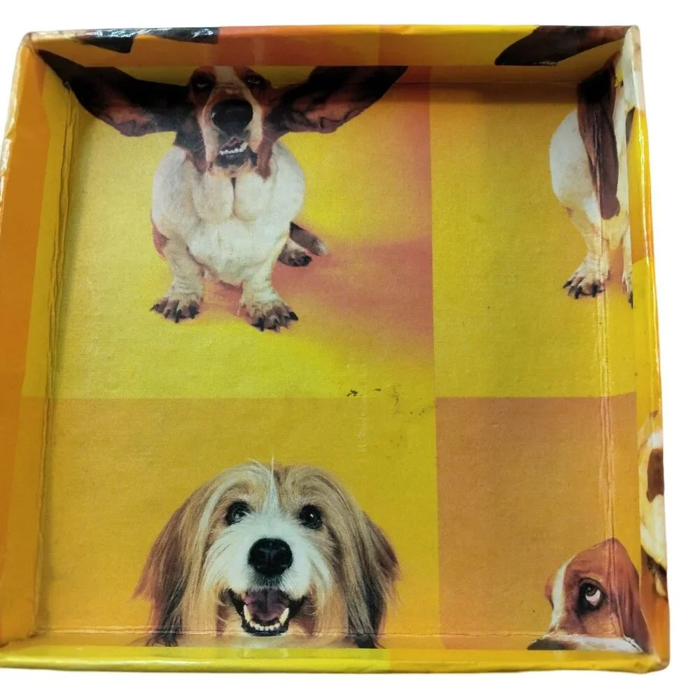 Basset Hound Jewelry Gift Box Yellow Orange